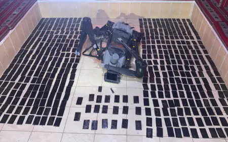 الجيش: إحباط تهريب مخدرات بواسطة طائرة مسيّرة في المنطقة العسكرية الجنوبية