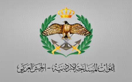 الجيش: طائرة مسيرة مجهولة المصدر تسقط داخل الأراضي الأردنية