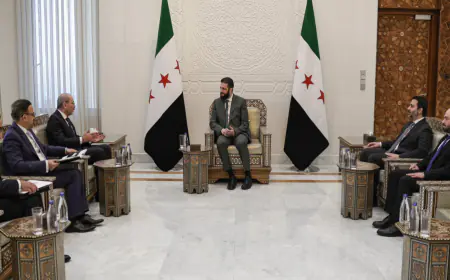 الصفدي : تشرفت بنقل رسالة الملك للرئيس الشرع والتي تؤكد على الوقوف مع سوريا