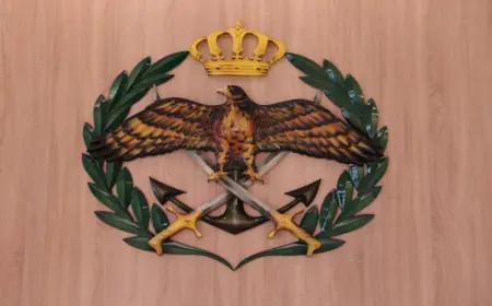 القبض على شخص حاول التسلل من سوريا إلى الأردن بطريقة غير مشروعة