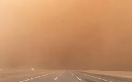 تقلبات جوية حادة.. ارتفاع ثم انخفاض على درجات الحرارة خلال 4 أيام