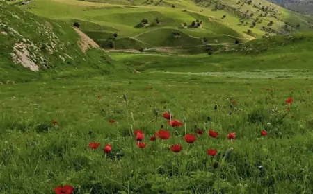 طقس السبت.. أجواء لطيفة نهارا وباردة نسبيا ليلا في معظم المناطق