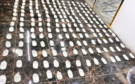 الجيش يحبط عملية تسلل وتهريب مواد مخدرة