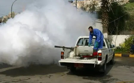 أمانة عمان تباشر حملتها السنوية لمكافحة الحشرات والقوارض