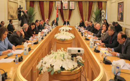 قانونية الأعيان تقر معدل قانون العقوبات كما ورد من النواب