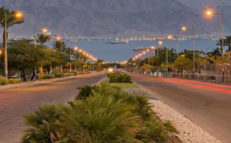 الفرجات يكتب: هذا ما فعله مدير سير العقبة لجعل السير آمناً عبر شارع أعجز المسؤولين