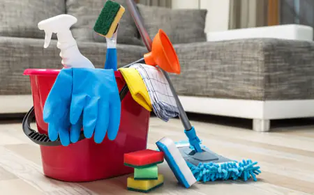 نظام مقترح يُلزم شركات تنظيف المنازل بالحصول على ترخيص وكفالة بنكية