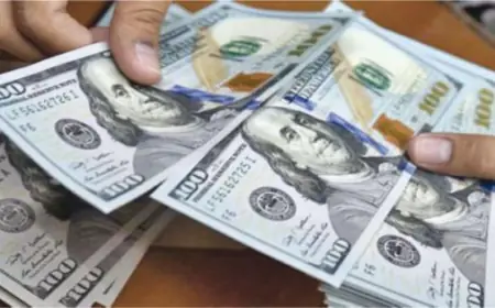 انخفاض قياسي في المنح الخارجية خلال الربع الأول من 2025 بنسبة 93.2%