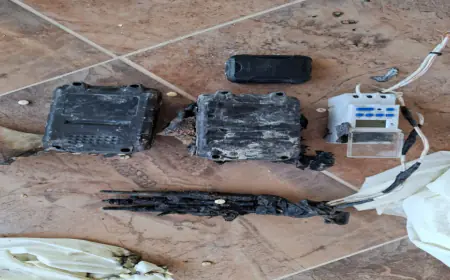 الجيش:  إحباط محاولة تهريب مواد مخدرة باستخدام بالونات موجهة عن بعد