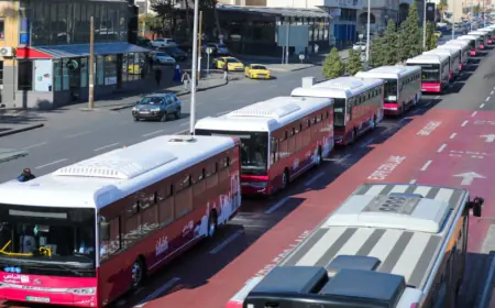 الأمانة : 15 حافلة كهربائية جديدة سيتم تشغيلها خلال النصف الثاني من 2025