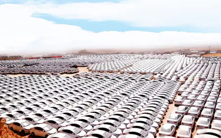 ضبط 1000 مركبة تحمل أرقام شاصي مزورة منها 117 مركبة تسير في الشوارع