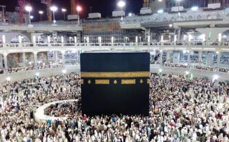 الأوقاف..تفويج قرابة 1500 حاج من المدينة المنورة إلى مكة المكرمة الأربعاء