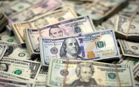 الدولار يرتفع مع وقف محكمة أمريكية رسوم ترامب الجمركية