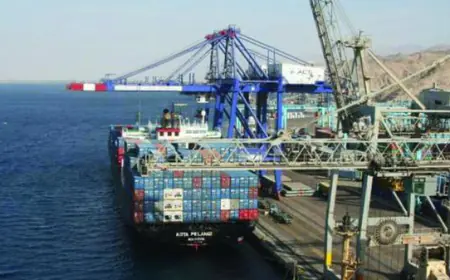 ميناء حاويات العقبة يسجل أعلى حجم مناوله الشهر الماضي