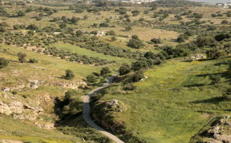 طقس لطيف في معظم المناطق اليوم  وارتفاع تدريجي في الحرارة حتى الجمعة