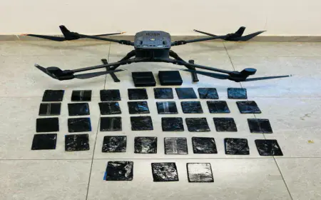 الجيش : إحباط محاولة تهريب مخدرات بطائرتين مسيرتين