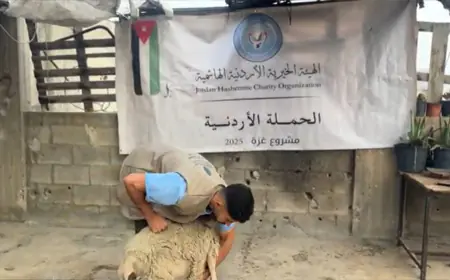 الحملة الأردنية والهيئة الخيرية الهاشمية توزعان لحوم أضاح  في غزة