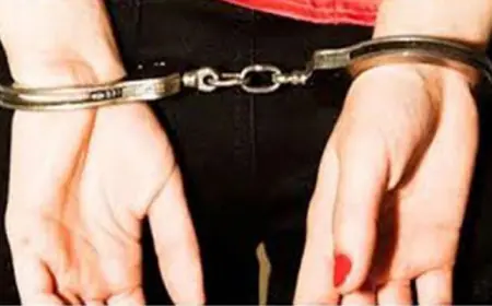 الأمن : ضبط فتاة أساءت لبلد شقيق وجمهوره في فيديو متداول