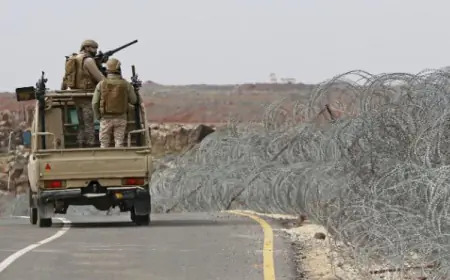 الجيش يُلقي القبض على متسلل حاول اجتياز الحدود الشمالية