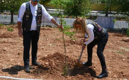 زين تستكمل زراعة 600 شجرة حُرجية ومُثمرة في مدينة الحُسين للشباب