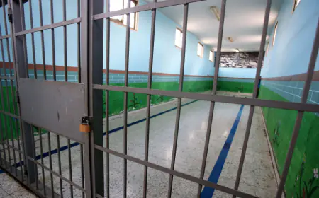 مصدر قضائي : إصدار 537 مذكرة إفراج عن موقوفين في السجون على ذمة قضايا مالية