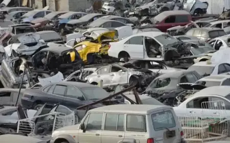 الحكومة:  منع استيراد مركبات (السالفج) اعتبارا من 1 تشرين الثاني