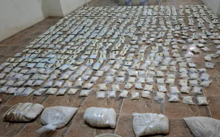 الجيش يحبط محاولتي تسلل وتهريب مواد مخدرة قادمة من سوريا