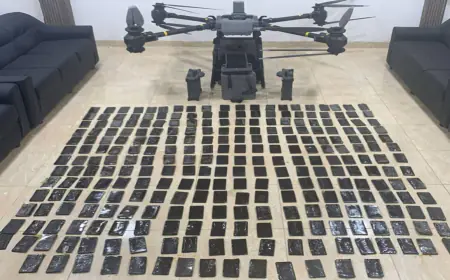المنطقة العسكرية الجنوبية تحبط محاولة تهريب مخدرات بواسطة طائرة مسيرة