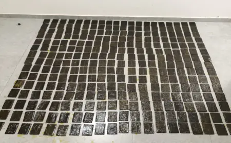 الجيش يحبط  تهريب مخدرات عبر طائرة مسيرة على الواجهة الغربية