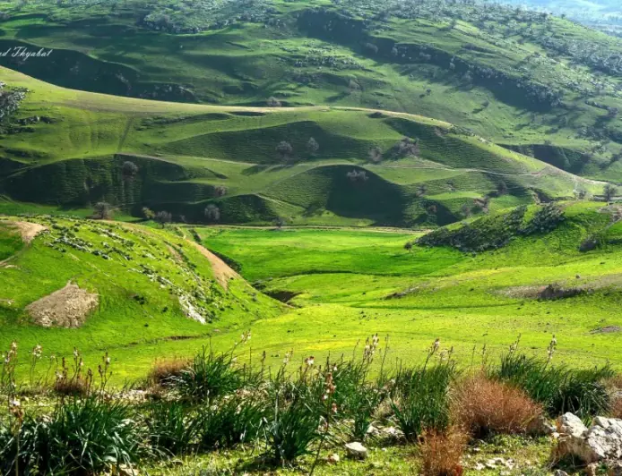 طقس الأردن ..أجواء دافئة في معظم مناطق المملكة وحارة في الأغوار والعقبة