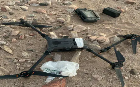 الجيش يحبط محاولة تسلل طائرة مسيّرة في المنطقة العسكرية الجنوبية