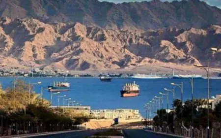 حالة الطقس.. أجواء صيفية وارتفاع تدريجي في الحرارة