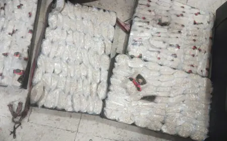 إحباط محاولة تهريب كمية كبيرة من حبوب الكبتاغون المخدرة