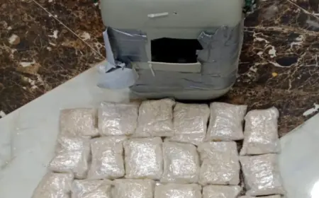 المنطقة العسكرية الشرقية تحبط محاولة تهريب بواسطة بالونات
