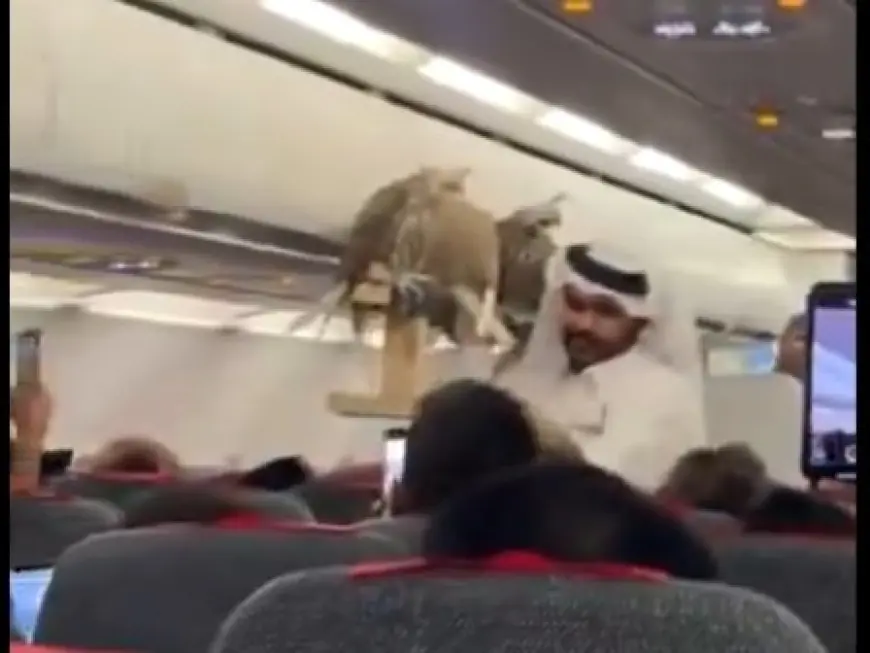 بصحبة مواطن خليجي.. صقور على متن طائرة ركاب يثير جدلا واسعا (فيديو)
