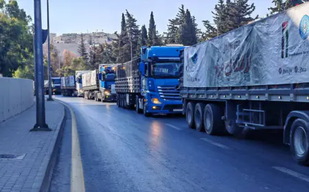 عبور قافلة مساعدات جديدة مكونة من 26 شاحنة إلى غزة
