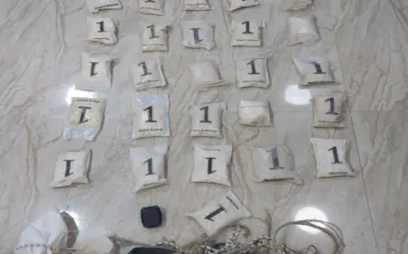 عبر بالونات.. الجيش يحبط 3 محاولات تهريب في مواقع مختلفة