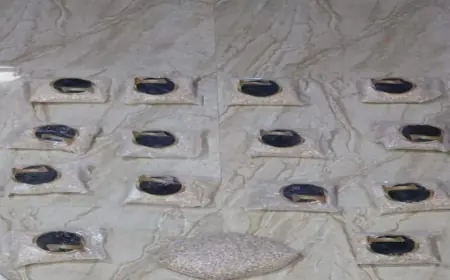 الجيش يحبط محاولة تهريب مواد مخدرة بواسطة بالونات