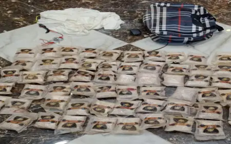 المنطقة العسكرية الشرقية تحبط محاولتي تهريب باستخدام بالونات