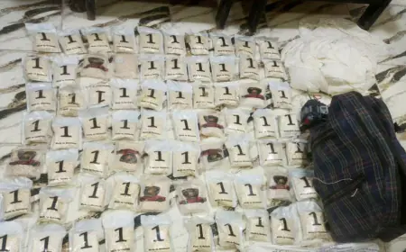 الجيش يحبط  تهريب مخدرات على الواجهة الشرقية