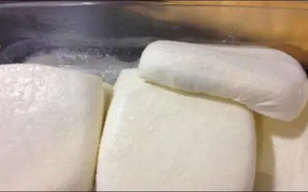 الغذاء والدواء تضبط موقعا غير مرخص لإنتاج الأجبان في عمان وتتلف 5 أطنان