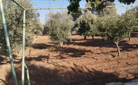 المياه : ضبط  اعتداءات في جنوب عمان وبرقش ومأدبا واربد لتعبئة صهاريج وبيعها (صور)