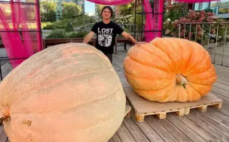 موسكو.. انطلاق مهرجان الخضروات العملاقة بمشاركة آلاف المتسابقين