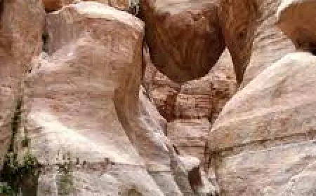 طقس خريفي معتدل ورياح مثيرة للغبار في البادية