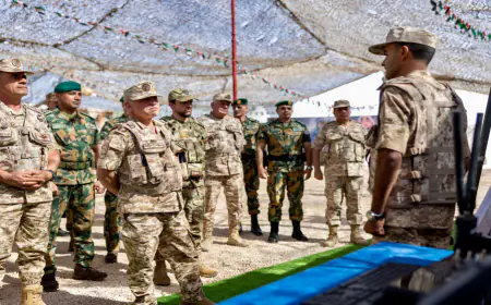 الملك وولي العهد يتابعان تمرينا ميدانيا لوحدات الدفاع الجوي الملكي