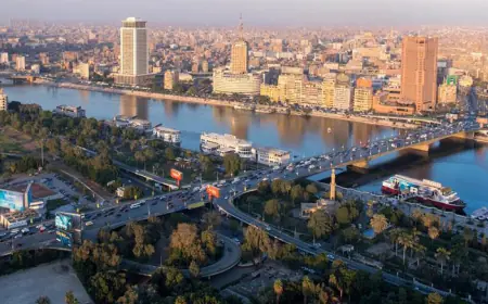القاهرة تستضيف مفاوضات حاسمة بين حماس وإسرائيل ضمن خطة ترامب لإنهاء حرب غزة