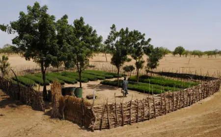 فرص تدريبية للنساء في 4 محافظات في الجنوب في مجال التكيف مع تغير المناخ