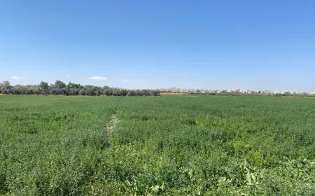 في مأدبا... مياه مستصلحة تعيد الحياة إلى الأراضي الزراعية وتدعم التكيف مع تغير المناخ