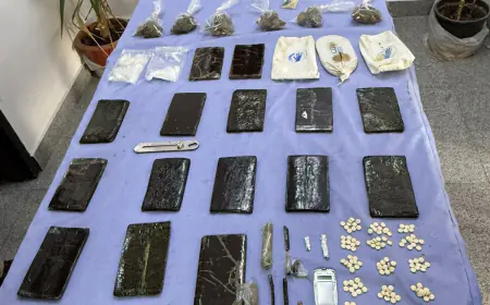 القبض على 12 تاجرا ومهربا ومروجا للمخدرات