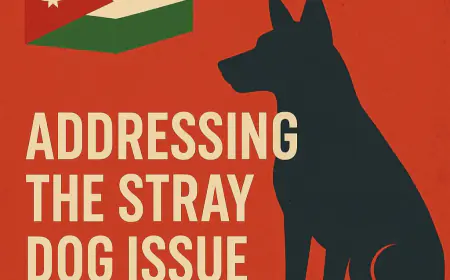 جودة يكتب والذكاء الاصطناعي يحلل: خطة مجتمعية حضارية لمعالجة ظاهرة الكلاب الضالة في الأردن بموارد محدودة